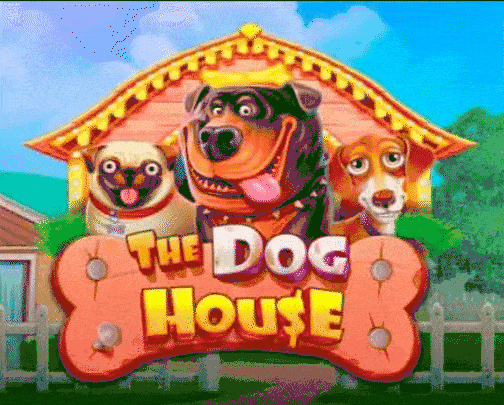 play the dog house in 711casino